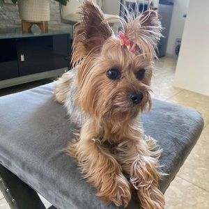 Meet your Posher, Felicita